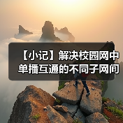 【小记】解决校园网中单播互通的不同子网间的 LocalSend 发现问题（图3）