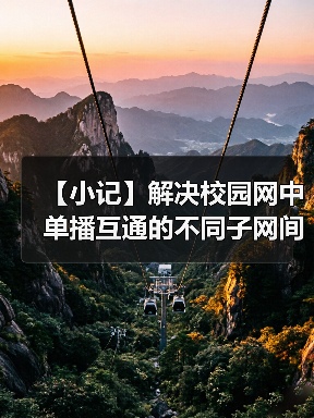【小记】解决校园网中单播互通的不同子网间的 LocalSend 发现问题（图2）
