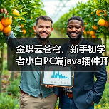 金蝶云苍穹，新手初学者小白PC端java插件开发教学示例