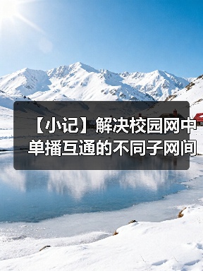 【小记】解决校园网中单播互通的不同子网间的 LocalSend 发现问题（图3）