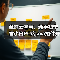 金蝶云苍穹，新手初学者小白PC端java插件开发教学示例（图4）