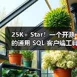 25K+ Star！一个开源的通用 SQL 客户端工具！（图3）