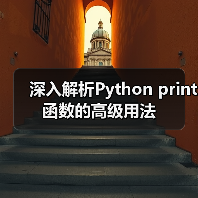 深入解析Python print函数的高级用法（图2）