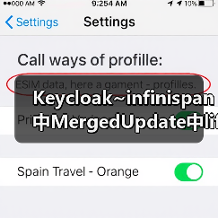 Keycloak~infinispan中MergedUpdate中lifespanMs和maxIdleTimeMs（图4）