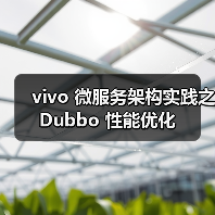 vivo 微服务架构实践之 Dubbo 性能优化（图3）