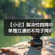 【小记】解决校园网中单播互通的不同子网间的 LocalSend 发现问题