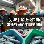 【小记】解决校园网中单播互通的不同子网间的 LocalSend 发现问题（图2）