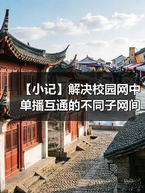 【小记】解决校园网中单播互通的不同子网间的 LocalSend 发现问题