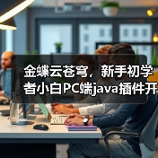 金蝶云苍穹，新手初学者小白PC端java插件开发教学示例（图4）