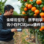 金蝶云苍穹，新手初学者小白PC端java插件开发教学示例