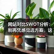 网站对比SWOT分析：别再凭感觉选方案，这4步让数据替你说话（图2）