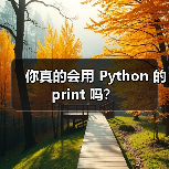 你真的会用 Python 的 print 吗？（图4）