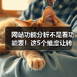网站功能分析不是看功能表！这5个维度让转化率飙升287%（图2）