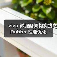 vivo 微服务架构实践之 Dubbo 性能优化（图4）