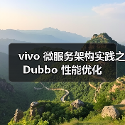 vivo 微服务架构实践之 Dubbo 性能优化（图2）