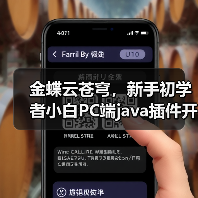 金蝶云苍穹,新手初学者小白PC端java插件开发教学示例(图4) 金蝶云苍穹,新手初学者小白PC端java插件开发教学示例(图4)