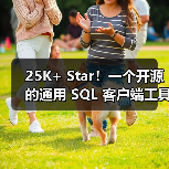 25K+ Star！一个开源的通用 SQL 客户端工具！