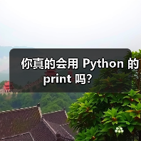你真的会用 Python 的 print 吗?(图1) 你真的会用 Python 的 print 吗?(图1)