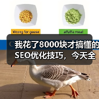 我花了8000块才搞懂的SEO优化技巧,今天全说清楚(图1) 我花了8000块才搞懂的SEO优化技巧,今天全说清楚(图1)