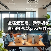 金蝶云苍穹,新手初学者小白PC端java插件开发教学示例(图1) 金蝶云苍穹,新手初学者小白PC端java插件开发教学示例(图1)