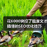 花6000块投了篇废文才搞懂的SEO优化技巧(图4) 花6000块投了篇废文才搞懂的SEO优化技巧(图4)