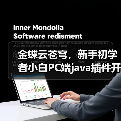 金蝶云苍穹,新手初学者小白PC端java插件开发教学示例(图2) 金蝶云苍穹,新手初学者小白PC端java插件开发教学示例(图2)