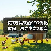 花3万买来的SEO优化教程,看完少走2年弯路(图4) 花3万买来的SEO优化教程,看完少走2年弯路(图4)