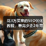 花3万买来的SEO优化教程,看完少走2年弯路(图2) 花3万买来的SEO优化教程,看完少走2年弯路(图2)