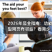 2026年最全指南：功能型网页有哪些？看完少走3年弯路