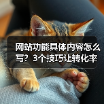 网站功能具体内容怎么写?3个技巧让转化率飙升187%(图1) 网站功能具体内容怎么写?3个技巧让转化率飙升187%(图1)
