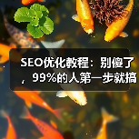 SEO优化教程：别傻了，99%的人第一步就搞反了