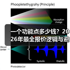 一个功能点多少钱？2026年最全报价逻辑与避坑指南（图2）