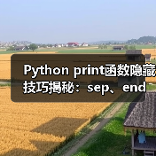 Python print函数隐藏技巧揭秘:sep、end参数用法全解析(图4) Python print函数隐藏技巧揭秘:sep、end参数用法全解析(图4)