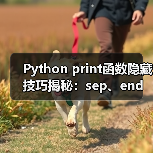 Python print函数隐藏技巧揭秘:sep、end参数用法全解析(图3) Python print函数隐藏技巧揭秘:sep、end参数用法全解析(图3)