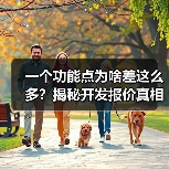 一个功能点为啥差这么多？揭秘开发报价真相（图3）
