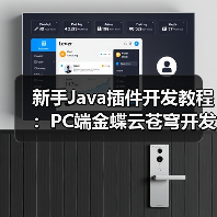 新手Java插件开发教程:PC端金蝶云苍穹开发教学(图3) 新手Java插件开发教程:PC端金蝶云苍穹开发教学(图3)