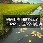 别再盯着网站外观了!2026年,这5个核心功能决定你90%的转化率(图3) 别再盯着网站外观了!2026年,这5个核心功能决定你90%的转化率(图3)