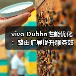 vivo Dubbo性能优化:路由扩展提升服务效率(图2) vivo Dubbo性能优化:路由扩展提升服务效率(图2)