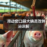 滑动窗口最大值高效算法详解（图3）
