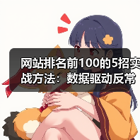 网站排名前100的5招实战方法:数据驱动反常识技巧(图2) 网站排名前100的5招实战方法:数据驱动反常识技巧(图2)