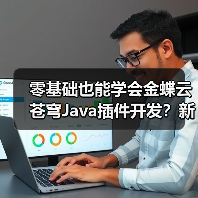 零基础也能学会金蝶云苍穹Java插件开发?新手必看教程(图4) 零基础也能学会金蝶云苍穹Java插件开发?新手必看教程(图4)
