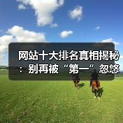 网站十大排名真相揭秘:别再被“第一”忽悠了!(图3) 网站十大排名真相揭秘:别再被“第一”忽悠了!(图3)