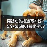 网站功能描述写不好？5个技巧提升转化率87%（图3）
