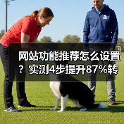 网站功能推荐怎么设置？实测4步提升87%转化率（图4）