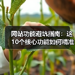 网站功能避坑指南：这10个核心功能如何精准提升转化率