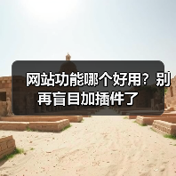 网站功能哪个好用?别再盲目加插件了(图2) 网站功能哪个好用?别再盲目加插件了(图2)