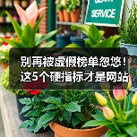 别再被虚假榜单忽悠!这5个硬指标才是网站功能选型关键(图4) 别再被虚假榜单忽悠!这5个硬指标才是网站功能选型关键(图4)