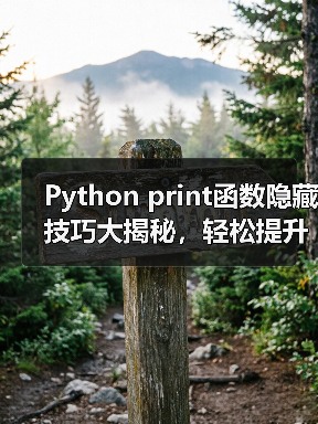 Python print函数隐藏技巧大揭秘,轻松提升代码效率!(图1) Python print函数隐藏技巧大揭秘,轻松提升代码效率!(图1)