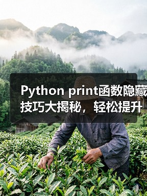 Python print函数隐藏技巧大揭秘,轻松提升代码效率!(图2) Python print函数隐藏技巧大揭秘,轻松提升代码效率!(图2)