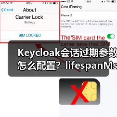 Keycloak会话过期参数怎么配置？lifespanMs与maxIdleTimeMs详解（图3）